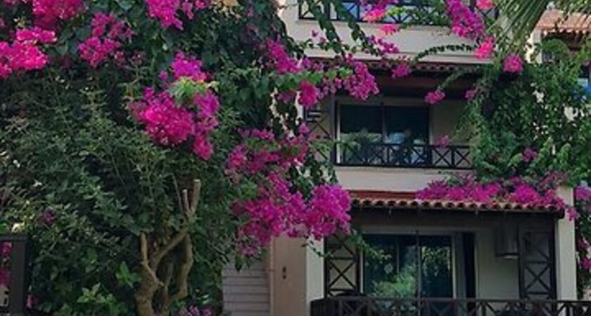 Saphir Hotel