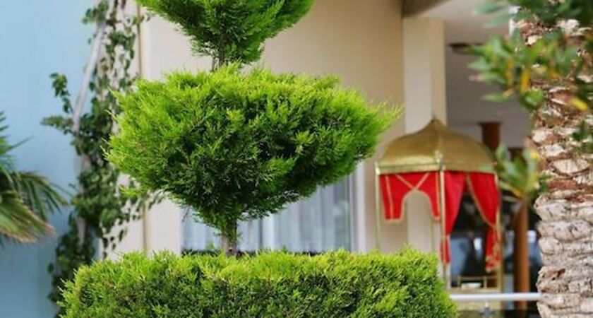 Saphir Hotel