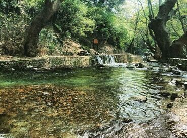 KURBAN BAYRAMINA ÖZEL KAZDAĞLARI  CUNDA TURU