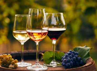 GURME EGE  ŞARAP TADIM TURU