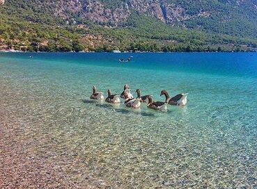 MARMARİS DATÇA DALYAN TURU