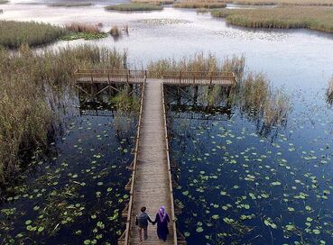 DÜZCE ŞELALELERİ TURU (1 Gece Konaklamalı)