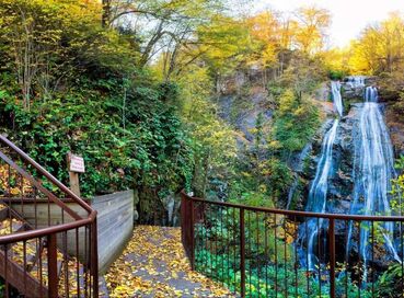 DÜZCE ŞELALELERİ TURU (1 Gece Konaklamalı)