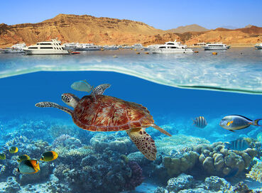 MEGA PROMOSYON BAŞTANBAŞA GİZEMLİ MISIR TURU