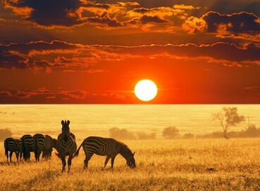 Güney Afrika Turu - QR - 8 Gece 10 Gün