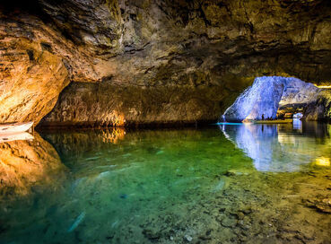 KURBAN BAYRAMINA ÖZEL ORMANA DÜĞME EVLER VE İBRADI TURU