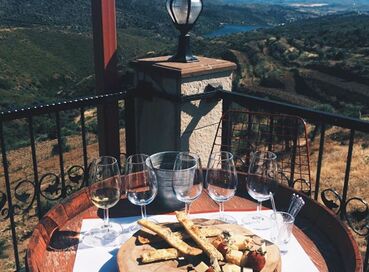 BUTİK İZMİR URLA ŞARAP TADIM TURU