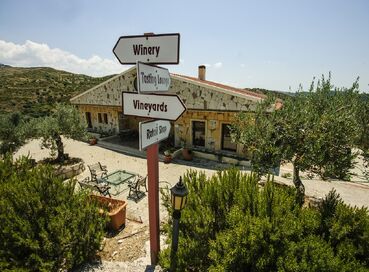 BUTİK İZMİR URLA ŞARAP TADIM TURU