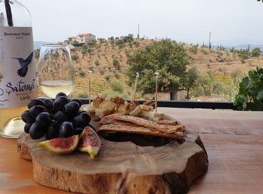 BUTİK İZMİR URLA ŞARAP TADIM TURU