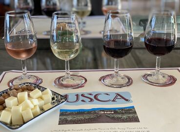 BUTİK İZMİR URLA ŞARAP TADIM TURU