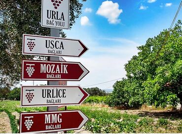 BUTİK İZMİR URLA ŞARAP TADIM TURU