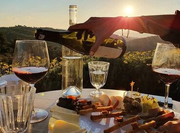 BUTİK İZMİR URLA ŞARAP TADIM TURU