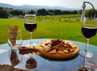 BUTİK İZMİR URLA ŞARAP TADIM TURU