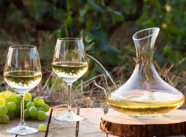 BUTİK İZMİR URLA ŞARAP TADIM TURU