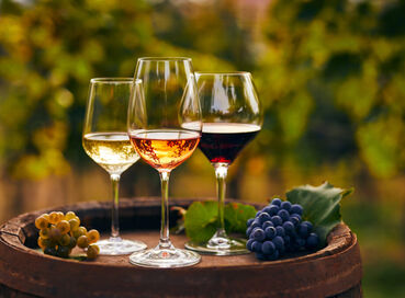 BUTİK İZMİR URLA ŞARAP TADIM TURU