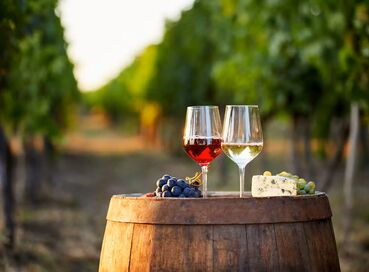 BUTİK İZMİR URLA ŞARAP TADIM TURU