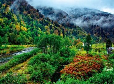 ERKEN REZERVASYON FIRSATI DOĞU KARADENİZ TURU (4 Gece Konaklamalı)