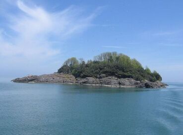 ERKEN REZERVASYON FIRSATI DOĞU KARADENİZ TURU (4 Gece Konaklamalı)