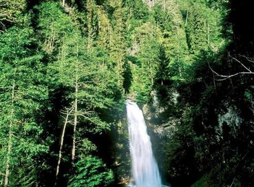 ERKEN REZERVASYON FIRSATI DOĞU KARADENİZ TURU (4 Gece Konaklamalı)