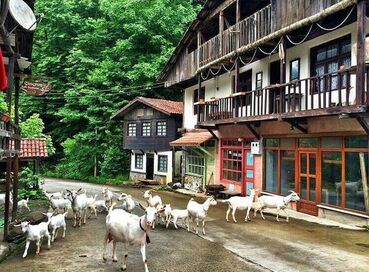 ERKEN REZERVASYON FIRSATI DOĞU KARADENİZ TURU (4 Gece Konaklamalı)