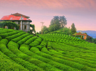 DOĞU KARADENİZ TURU (4 Gece Konaklamalı)